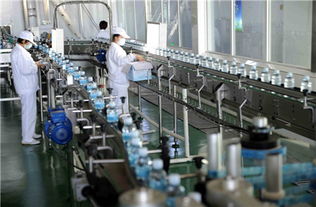 食品厂净化车间装修方案与装饰材料选择指南